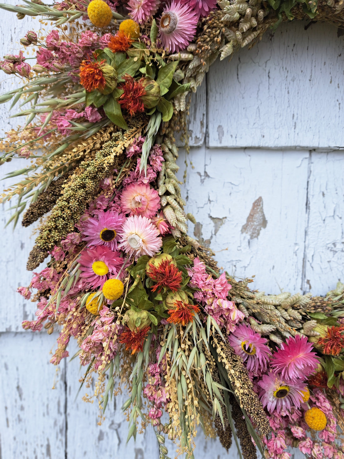 Pink Harvest Large Dried Flower Wreath